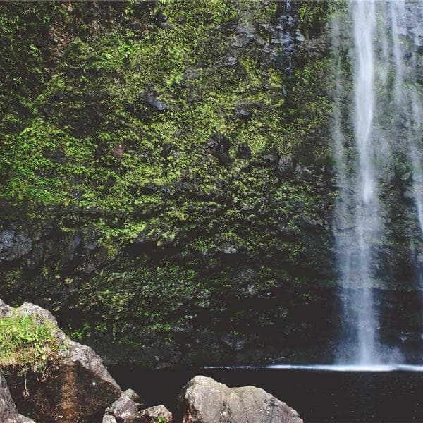 Nutrition Bio-Masterclass